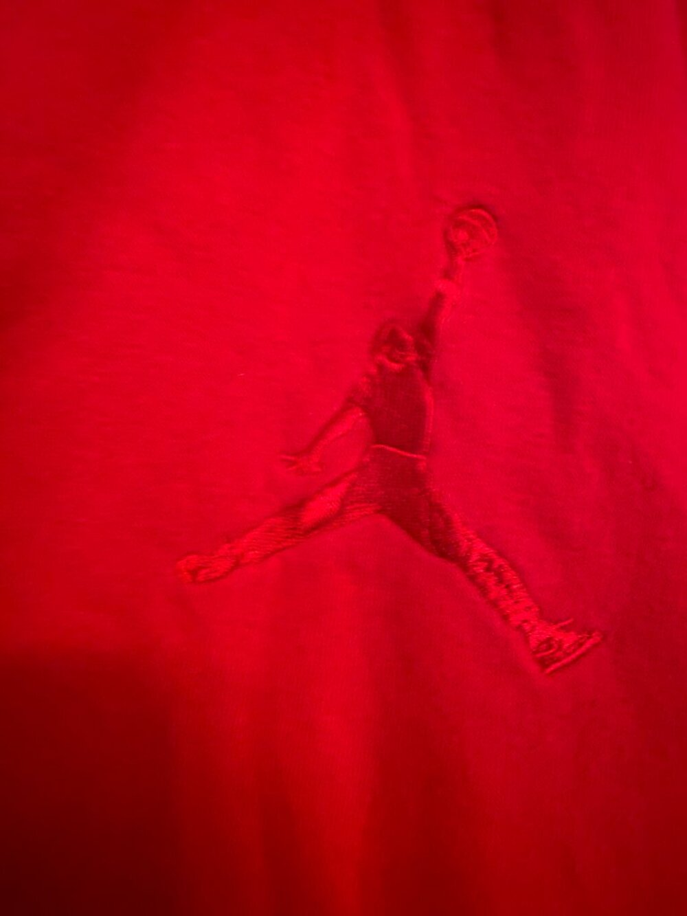 Jordan snap front hoodie